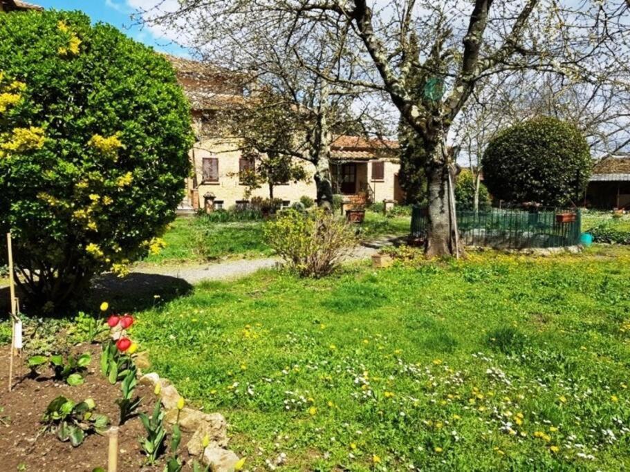 Apartament Volaterrae Deluxe Loft With Garden Volterra Zewnętrze zdjęcie